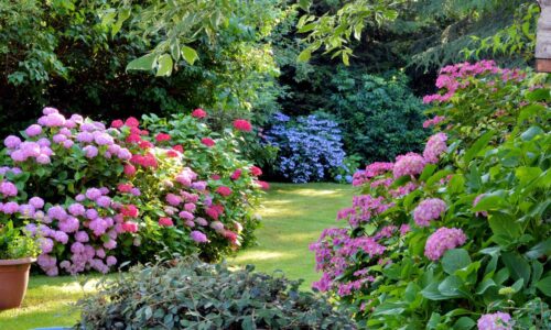 Der unterschätzte Einfluss von Mikroklima im Garten