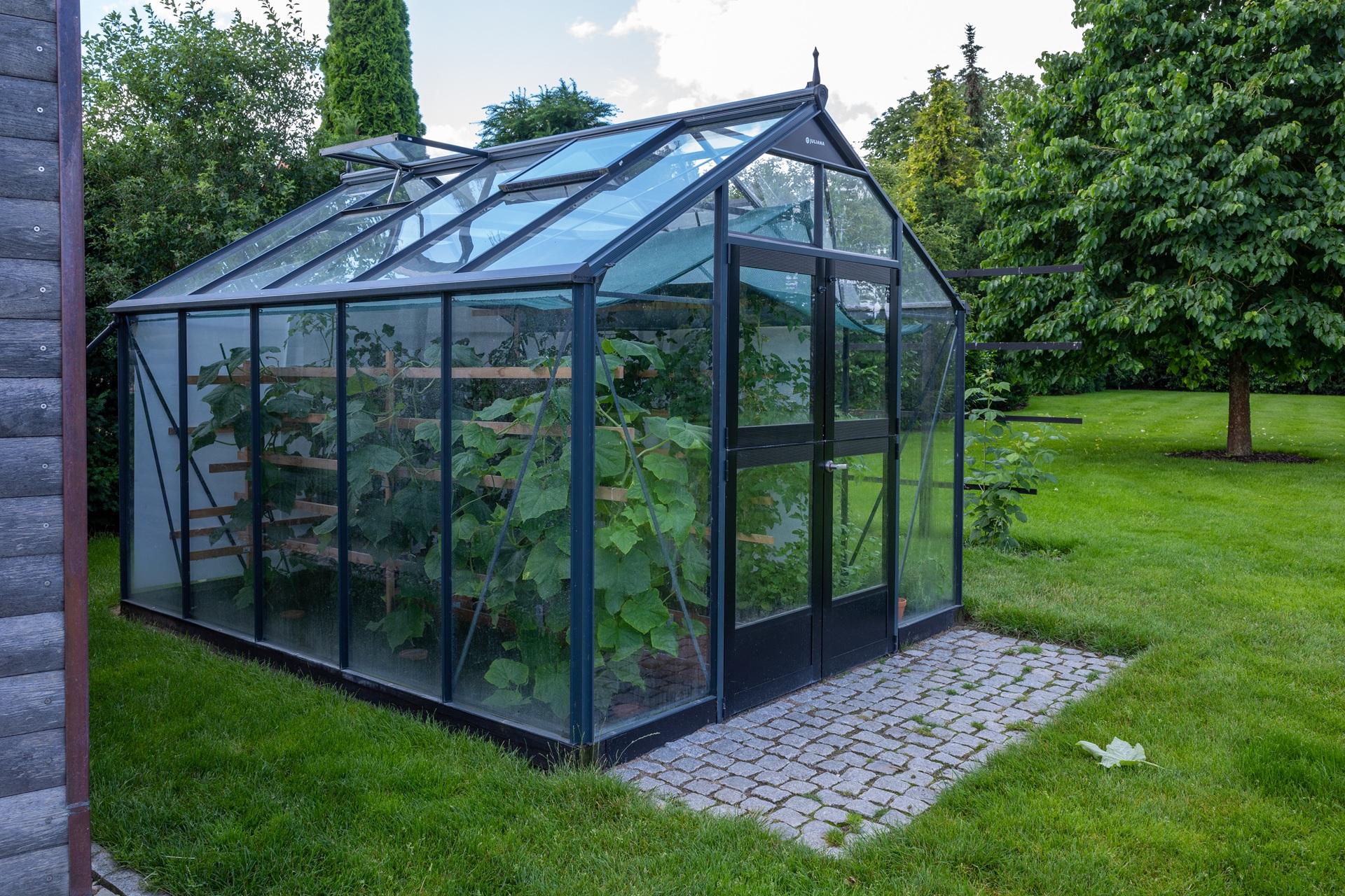 Gewächshaus Platten mit Glasrahmen im Garten