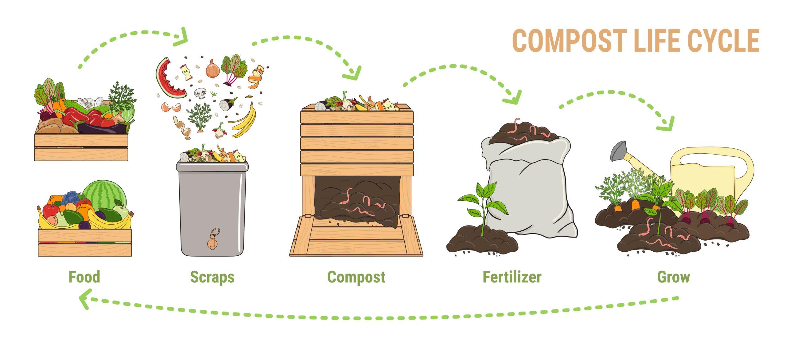 Infografik über den Lebenszyklus des Kompostes. Kompostierungsprozess. Schema des Recyclings organischer Abfälle vom Sammeln der Küchenabfälle bis zur Verwendung von Kompost für die Landwirtschaft.
