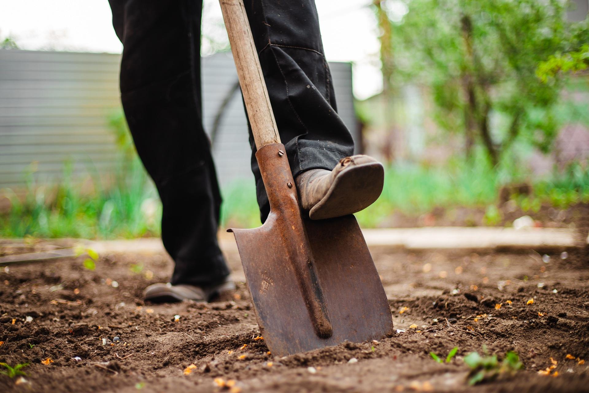 Spatenstich zur Pflanzvorbereitung | Gartengestaltung mit Bambus

